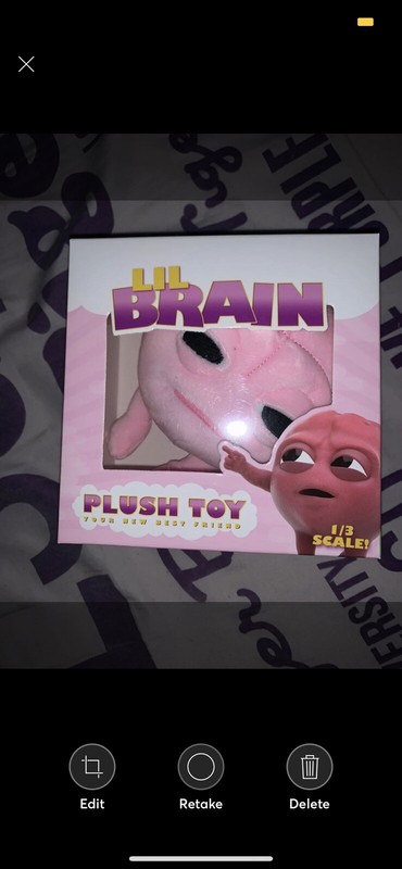 lil dicky brain plush toy ebay